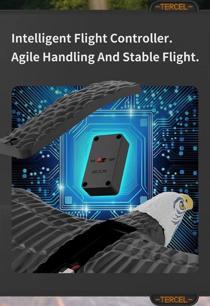 RC Eagle For Kids